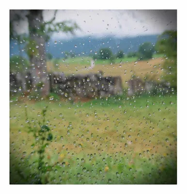 Lesbayards remy weite